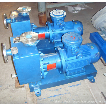 Titanium megnetic transmission megnetic rotor pump